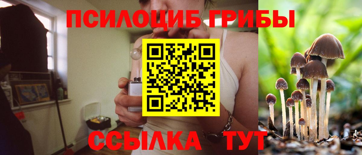 Среднеуральск  Псилоцибиновые грибы Psilocybe  Вход с VPN  Псилоцибиновые грибы Psilocybe 